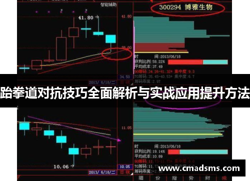 跆拳道对抗技巧全面解析与实战应用提升方法