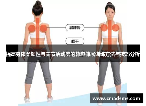 提高身体柔韧性与关节活动度的静态伸展训练方法与技巧分析