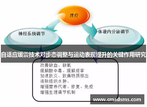 自适应缓震技术对步态调整与运动表现提升的关键作用研究