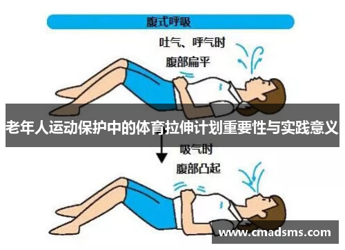 老年人运动保护中的体育拉伸计划重要性与实践意义