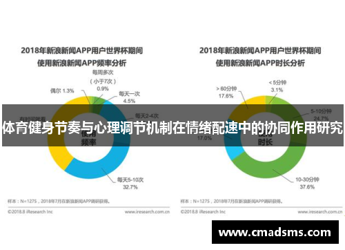 体育健身节奏与心理调节机制在情绪配速中的协同作用研究